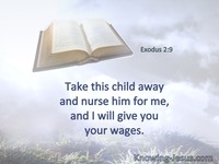 Exodus 2:9